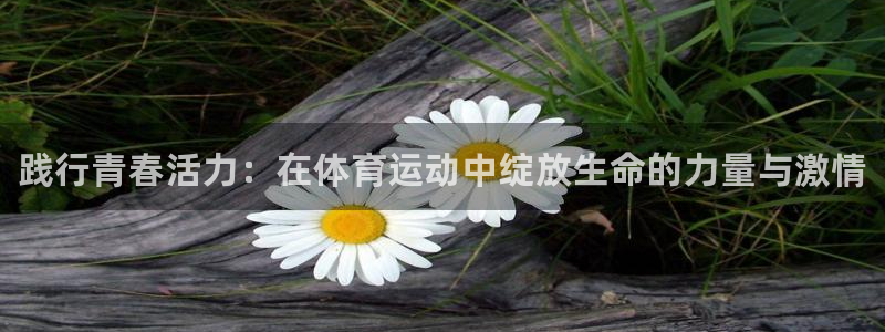 米兰体育官方正版app集团：践行青春活力：在体育运动