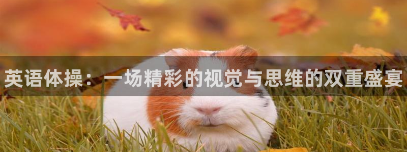 米兰体育官网下载招商电话地址：英语体操：一场精彩的视觉与思维