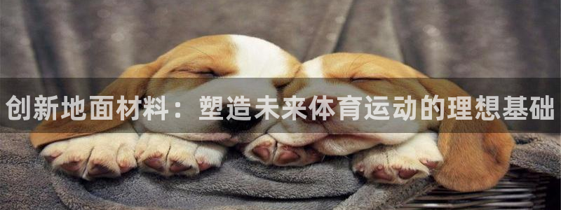 米兰体育官网下载注册：创新地面材料：塑造未来体育运动