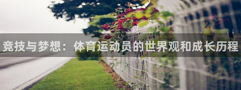 米兰体育官方正版app娱乐代理怎么样：竞技与梦想：体