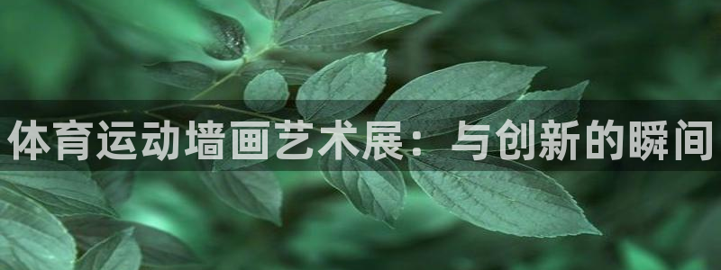 米兰体育官方正版app官网：体育运动墙画艺术展：与创新的瞬间