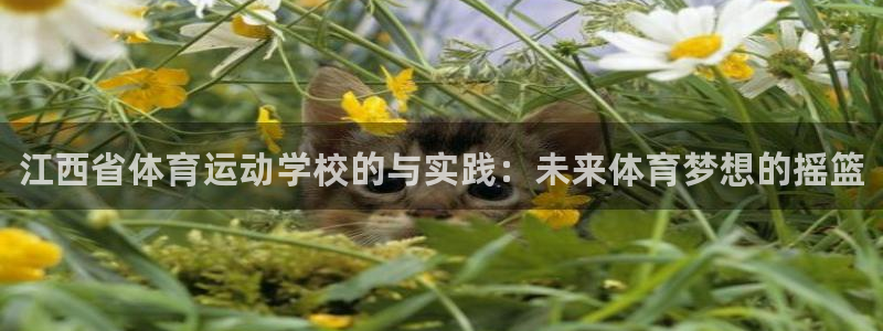 米兰体育官网下载招商电话地址查询：江西省体育运动学校