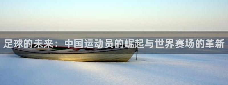 米兰体育官网下载招商电话是多少：足球的未来：中国运动员的崛起