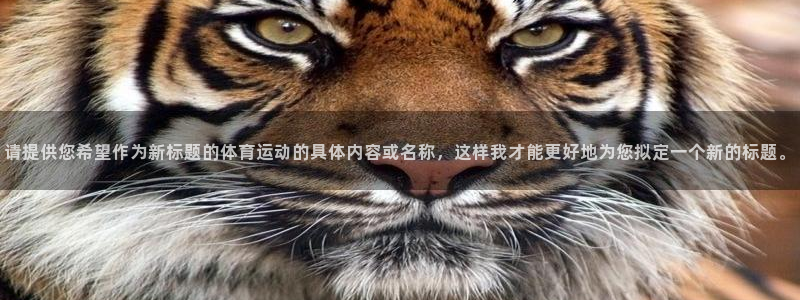 米兰体育官网下载招商电话地址查询：请提供您希望作为新标题的体