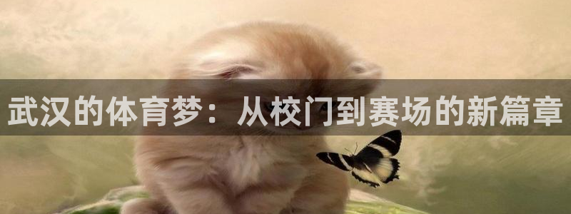 米兰体育官网下载招商电话地址：武汉的体育梦：从校门到赛场的新