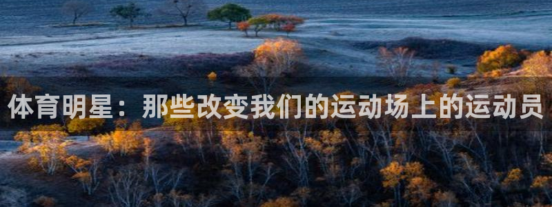 米兰体育官网下载平台：体育明星：那些改变我们的运动场上的运动