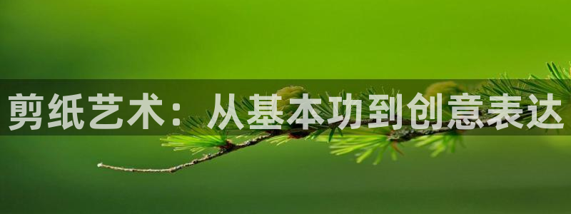 米兰体育官网下载招商电话是多少号码：剪纸艺术：从基本功到创意