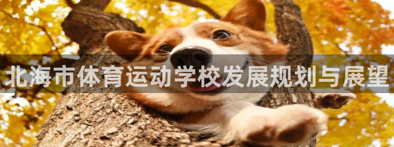 米兰体育官方正版app娱乐首页网站大全：北海市体育运动学校发