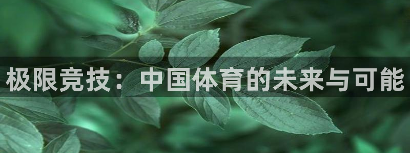 米兰体育官网下载平台注册要钱吗：极限竞技：中国体育的