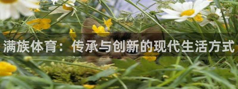 米兰体育官方正版app官网：满族体育：传承与创新的现