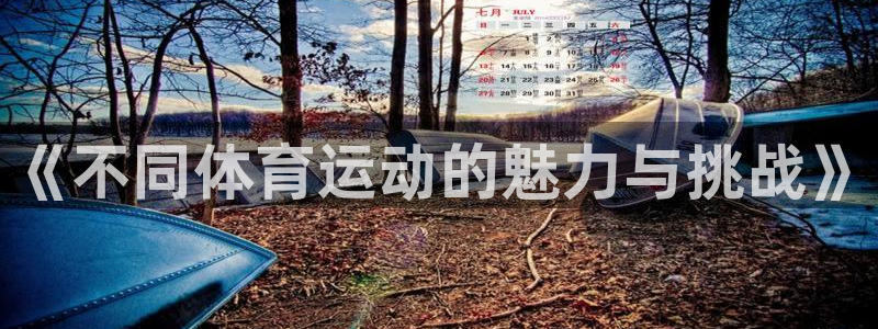 米兰体育官网下载平台注册流程视频:《不同体育运动的魅力与挑战