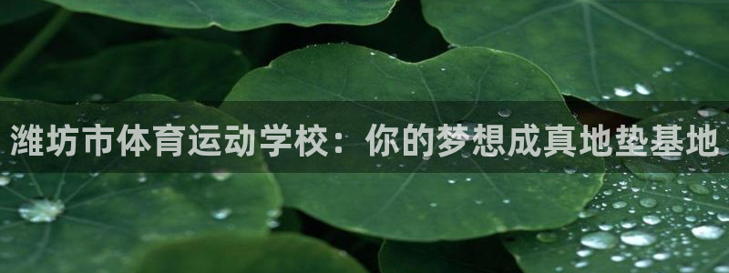 米兰体育官方正版app新能源：潍坊市体育运动学校：你
