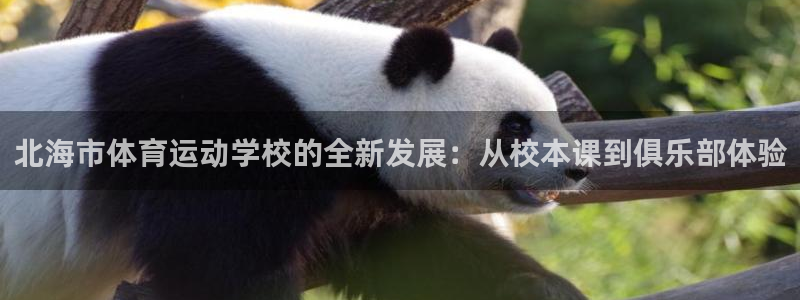 米兰体育官网下载注册：北海市体育运动学校的全新发展：